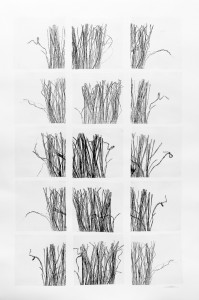 15-fils et brindilles 2014 15 monotypes sur papiers japon marouflés sur papier arches 400g 120 x 80 cm